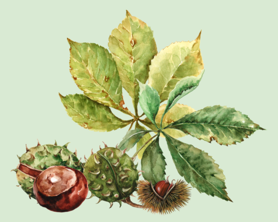 Whack a Chestnut lately? 