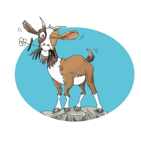 This goat is the G.O.A.T.